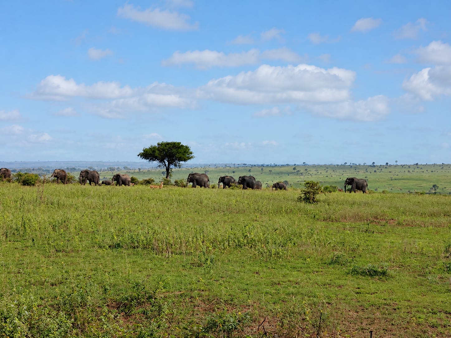 Scafrica Tours